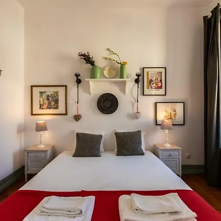 Stylish For Travelers - Bp2 *