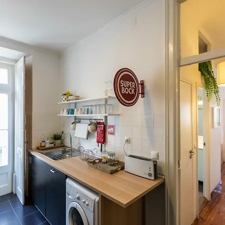 Stylish For Travelers - Bp2